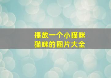 播放一个小猫咪猫咪的图片大全