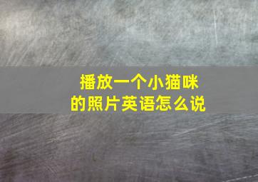 播放一个小猫咪的照片英语怎么说