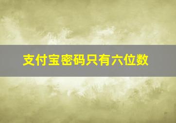 支付宝密码只有六位数