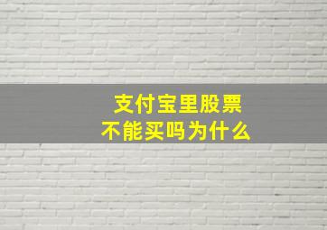 支付宝里股票不能买吗为什么