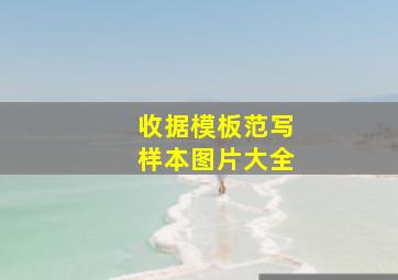 收据模板范写样本图片大全