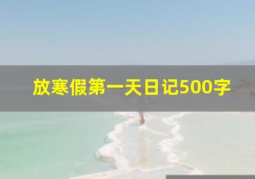 放寒假第一天日记500字