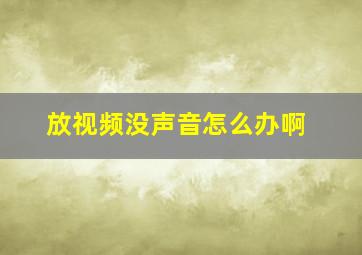 放视频没声音怎么办啊