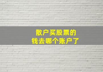 散户买股票的钱去哪个账户了