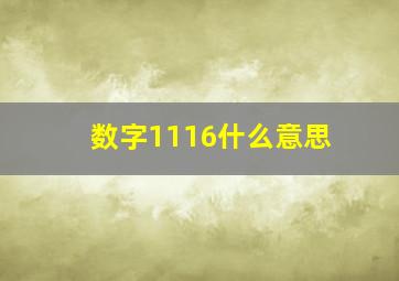 数字1116什么意思