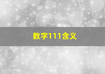 数字111含义