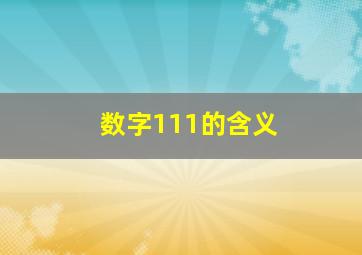 数字111的含义