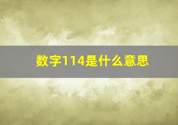 数字114是什么意思