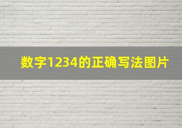 数字1234的正确写法图片