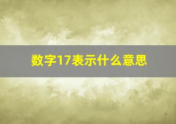 数字17表示什么意思