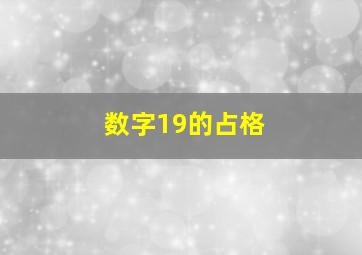 数字19的占格