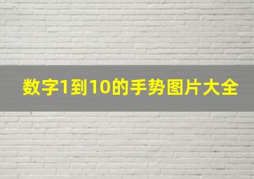 数字1到10的手势图片大全