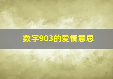 数字903的爱情意思