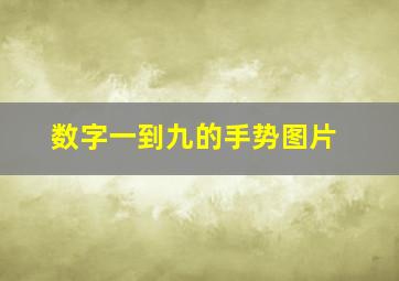 数字一到九的手势图片