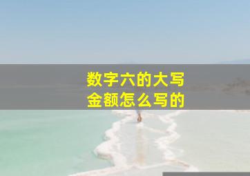 数字六的大写金额怎么写的