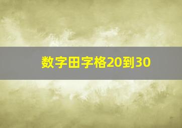 数字田字格20到30