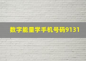 数字能量学手机号码9131