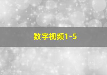 数字视频1-5