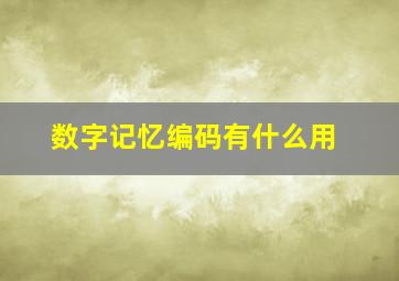 数字记忆编码有什么用