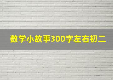 数学小故事300字左右初二