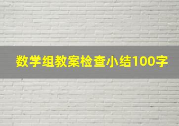 数学组教案检查小结100字