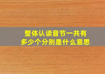 整体认读音节一共有多少个分别是什么意思