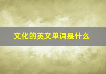 文化的英文单词是什么