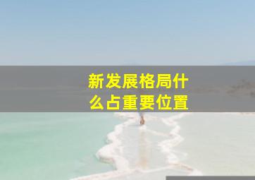 新发展格局什么占重要位置