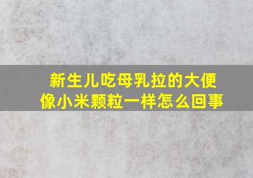 新生儿吃母乳拉的大便像小米颗粒一样怎么回事