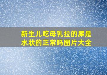 新生儿吃母乳拉的屎是水状的正常吗图片大全