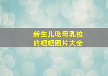 新生儿吃母乳拉的粑粑图片大全