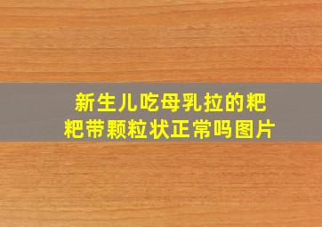 新生儿吃母乳拉的粑粑带颗粒状正常吗图片