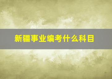 新疆事业编考什么科目