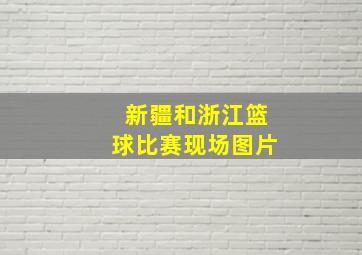 新疆和浙江篮球比赛现场图片