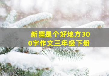 新疆是个好地方300字作文三年级下册