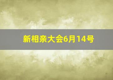 新相亲大会6月14号