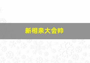 新相亲大会帅