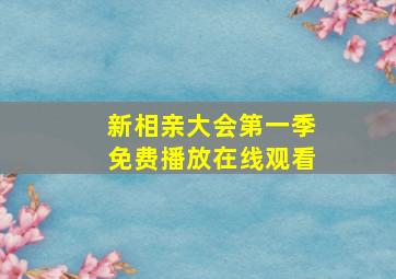 新相亲大会第一季免费播放在线观看