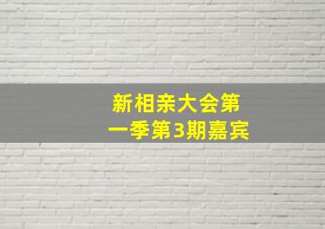 新相亲大会第一季第3期嘉宾