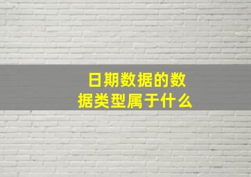 日期数据的数据类型属于什么