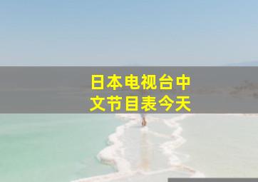 日本电视台中文节目表今天