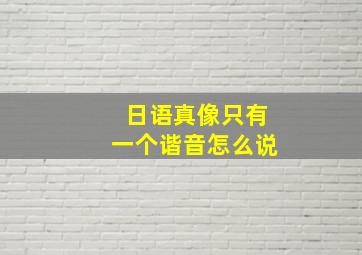 日语真像只有一个谐音怎么说