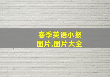 春季英语小报图片,图片大全