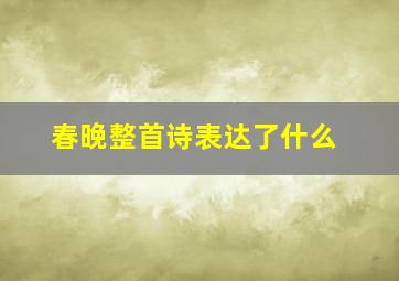 春晚整首诗表达了什么