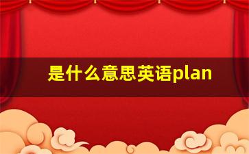 是什么意思英语plan