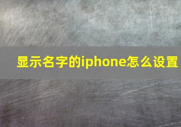 显示名字的iphone怎么设置