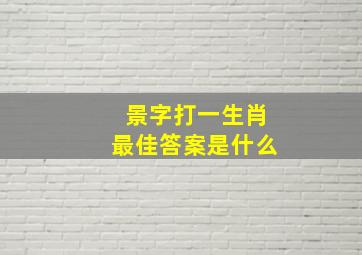 景字打一生肖最佳答案是什么