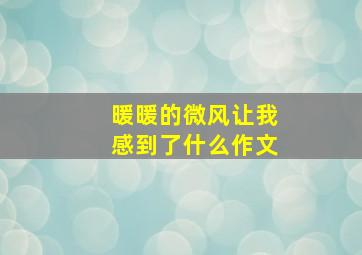 暖暖的微风让我感到了什么作文