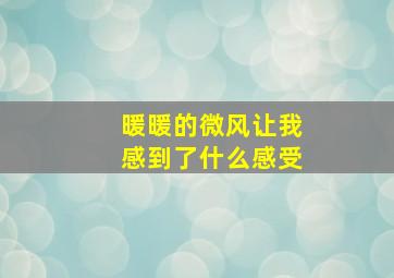 暖暖的微风让我感到了什么感受