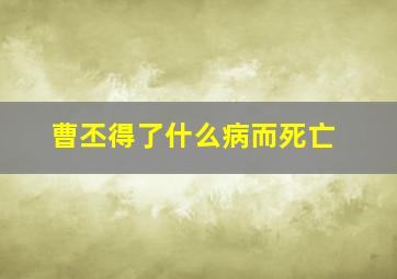 曹丕得了什么病而死亡